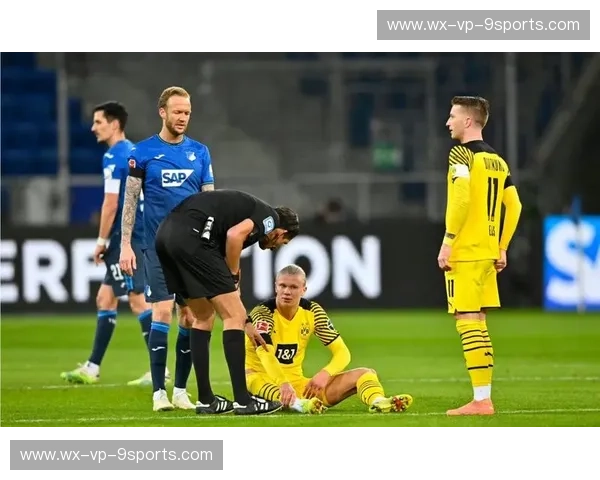 德甲冰与火之歌:当“乡村奇迹”霍芬海姆撞上“雄鹰”法兰克福的铁血狂澜 德甲冰与火之歌:当“乡村奇迹”霍芬海姆撞上“雄鹰”法兰克福的铁血狂澜